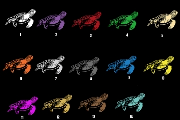 Aufkleber Grüne Meeresschildkröte *für dunkle Hintergründe