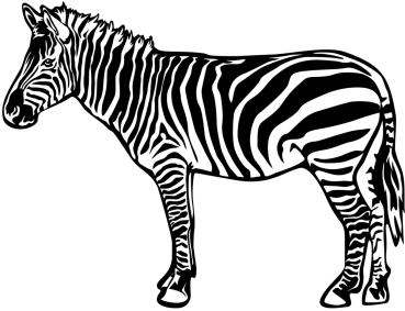 Aufkleber Zebra *für helle Hintergründe