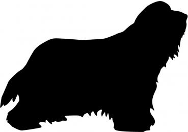 Autoaufkleber Bearded Collie stehend Silhouette