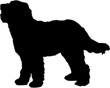 Autoaufkleber Golden Doodle stehend Silhouette