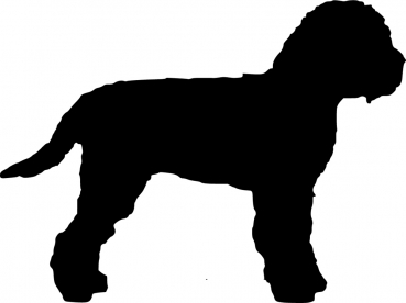 Autoaufkleber Lagotto Romagnolo stehend Silhouette