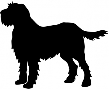 Autoaufkleber Spinone Italiano stehend Silhouette