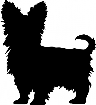 Autoaufkleber Yorkshire Terrier stehend Silhouette