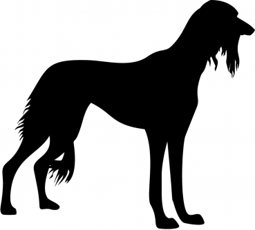 Saluki stehend Silhouette