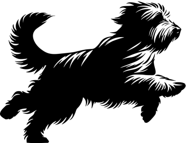 Autoaufkleber Bearded Collie rennend Silhouette