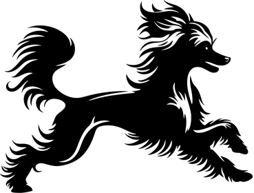 Autoaufkleber Chinese Crested Dog rennend Silhouette