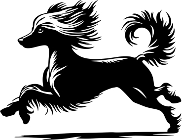 Autoaufkleber Chinese Crested Dog rennend Silhouette