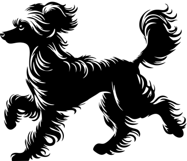 Autoaufkleber Chinese Crested Dog rennend Silhouette