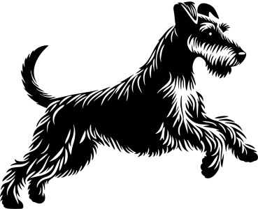 Autoaufkleber Foxterrier (Drahthaar) rennend Silhouette