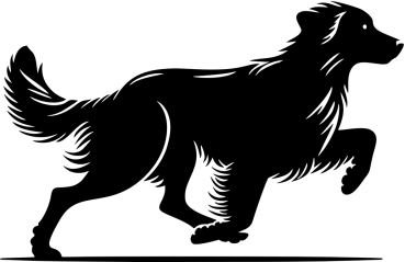 Autoaufkleber Golden Retriever rennend Silhouette