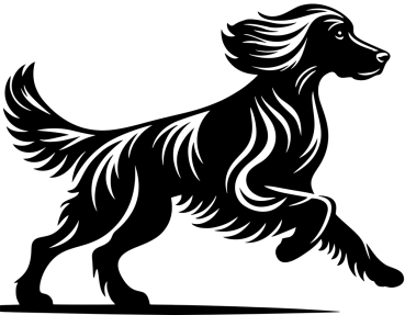 Autoaufkleber Irish Setter rennend Silhouette