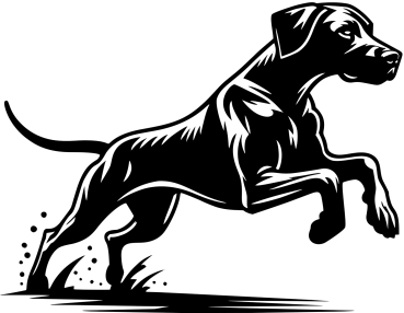 Autoaufkleber Rhodesian Ridgeback rennend Silhouette