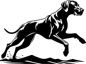 Autoaufkleber Rhodesian Ridgeback rennend Silhouette