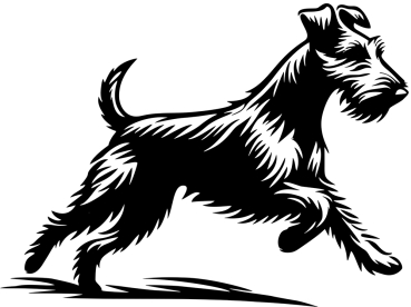 Autoaufkleber Foxterrier (Drahthaar) rennend Silhouette