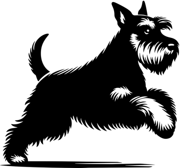 Autoaufkleber Schnauzer rennend Silhouette