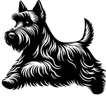 Autoaufkleber Scottish Terrier rennend Silhouette