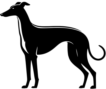 Greyhound stehend Silhouette