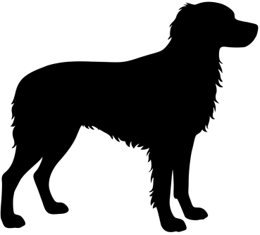 Epagneul Breton Silhouette