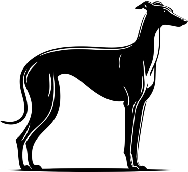 Greyhound stehend Silhouette