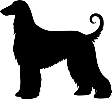 Afghane stehend Silhouette