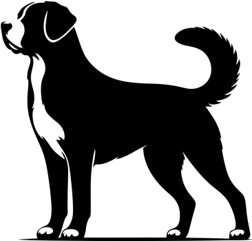 Aufkleber Großer Schweizer Sennenhund