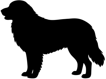 Maremmano stehend Silhouette