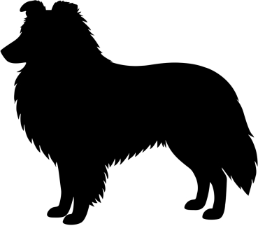 Sheltie stehend Silhouette