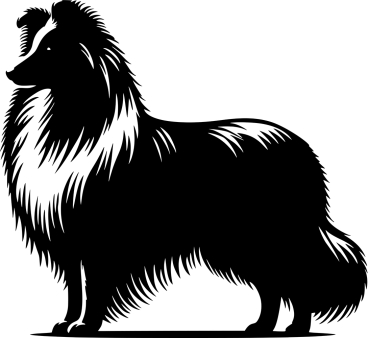 Sheltie stehend Silhouette