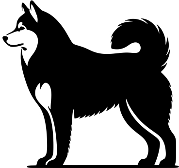 Siberian Husky stehend Silhouette