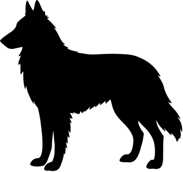 Tervueren Silhouette