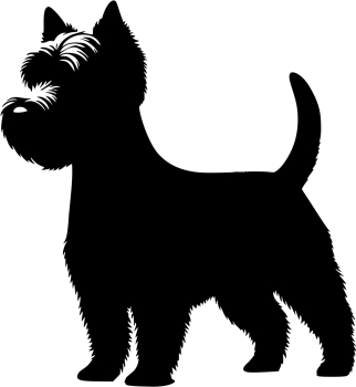 West Highland White Terrier stehend Silhouette