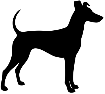 Manchester Terrier stehend Silhouette