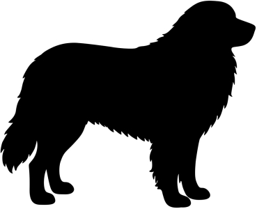 Pyrenäenberghund stehend Silhouette