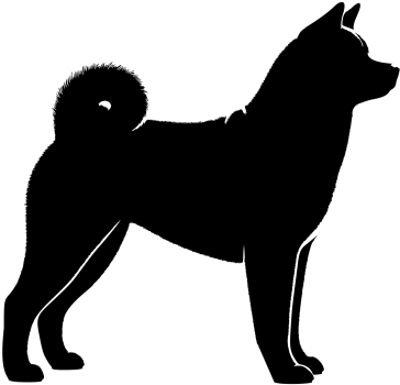American Akita stehend Silhouette