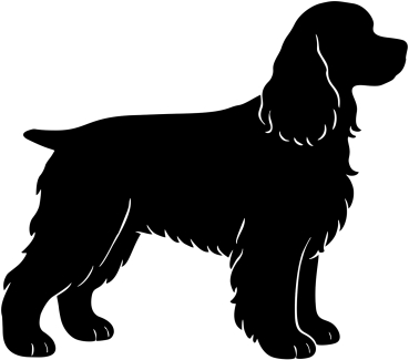 Aufkleber American Cocker Spaniel