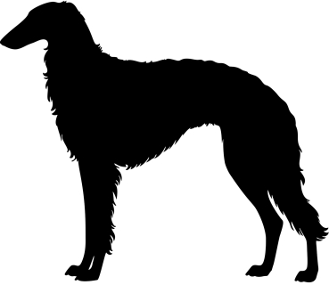 Barsoi stehend Silhouette