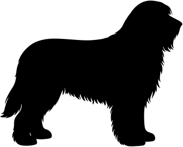 Bearded Collie Silhouette