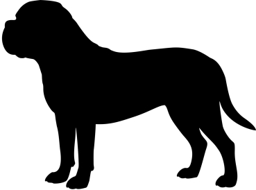 Bordeauxdogge stehend Silhouette