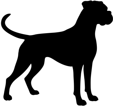 Boxer stehend Silhouette