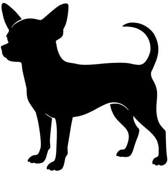 Chihuahua stehend Silhouette