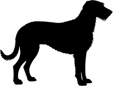 Irish Wolfhound stehend Silhouette