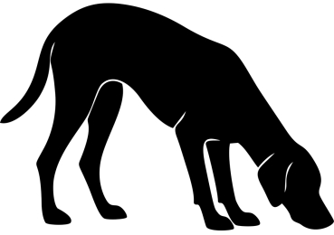 Magyar Viszla stehend Silhouette