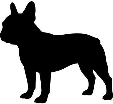 Französische Bulldogge stehend Silhouette