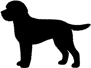Lagotto Romagnolo Silhouette