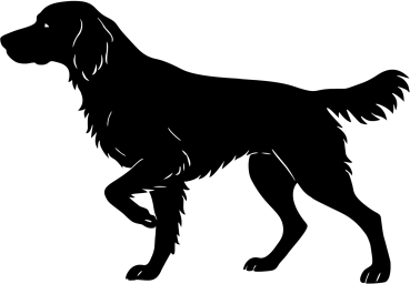 Münsterländer stehend Silhouette