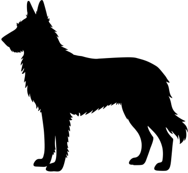 Picard stehend Silhouette