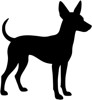 Podenco stehend Silhouette