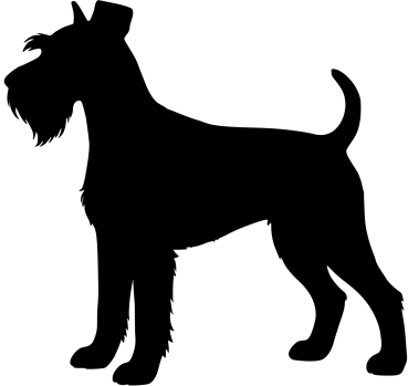 Schnauzer stehend Silhouette