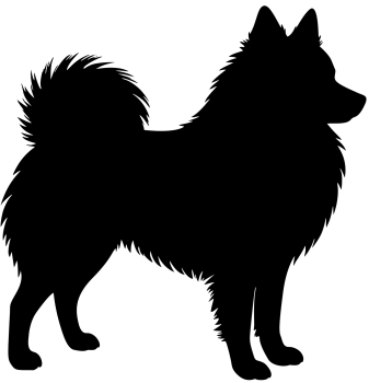 Spitz Silhouette