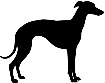 Whippet stehend Silhouette